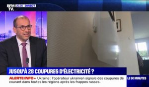 Laurent Méric (Enedis): "La consommation d'électricité a plutôt baissé ces dernières semaines"