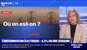 Consommation électrique en France: où en est-on? BFMTV répond à vos questions
