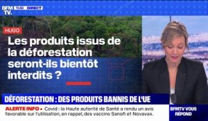 Les produits issus de la déforestation seront-ils bientôt interdits? BFMTV répond à vos questions