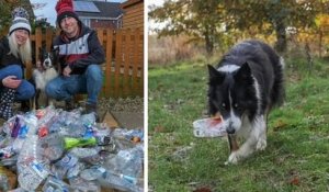 Surnommé « le chien écolo », ce Border collie ramasse chaque jour des bouteilles en plastique jetées dans la rue