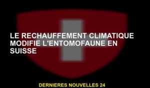 Le réchauffement climatique modifie l'entomofaune en Suisse