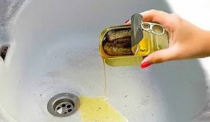 Ne plus jeter l’huile de thon dans l’évier pour le bien de l’environnement, les bonnes habitudes à