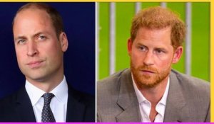 Prince William extrêmement furieux contre le prince Harry