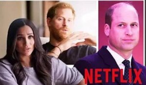 Le « sur-partage » de Netflix de Meghan et Harry est susceptible de nuire au potentiel de revenus