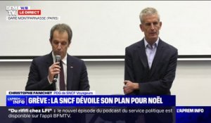 Christophe Fanichet, PDG de SNCF Voyageurs à propos de la grève: "L'état des déclarations nous permet de prévoir au moins 2 trains sur 3 pour ce week-end"