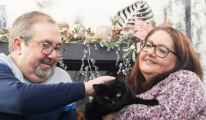 Angleterre : un couple affirme que le chat noir qu'il a sauvé lui a permis de gagner 1 million de livres à la loterie
