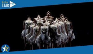 Le Lac des cygnes (France 5) : découvrez les dessous du plus célèbre des ballets de danse classique