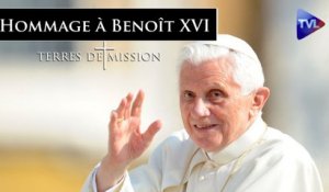 Terres de Mission n°295 - Hommage à Benoît XVI