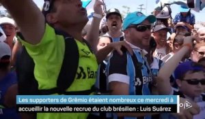 Grêmio - Luis Suárez accueilli en héros