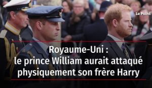 Royaume-Uni : le prince William aurait attaqué physiquement son frère Harry
