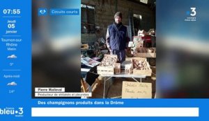 À Saint-Donat-sur-l'Herbasse, Pierre, producteur de champignons Shiitakés et pleurotes, "Les Baumes au cœur"