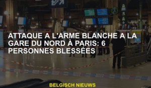 Attentat à l'arme à la Gare du Nord à Paris : 6 blessés