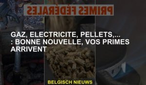 Gaz, électricité, granulés, ...: bonne nouvelle, vos primes arrivent