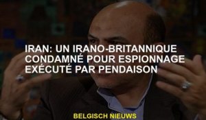 Iran: un irano-britannique condamné pour l'espionnage exécuté par suspension