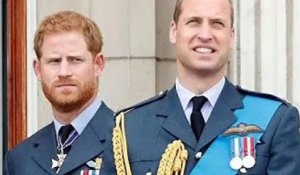 Harry espère que le grand frère William « pourra voir les avantages de la thérapie » en plaidant pou