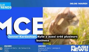 Quel est le choix mode de Kylie Jenner qui fait des ravages ?