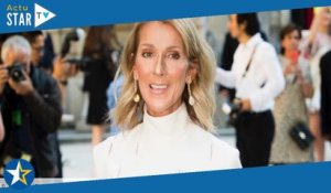 “Elle est de très bon conseil” : Céline Dion, ces célèbres acteurs brisent le silence à son sujet