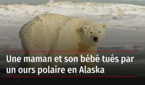 Une maman et son bébé tués par un ours polaire en Alaska