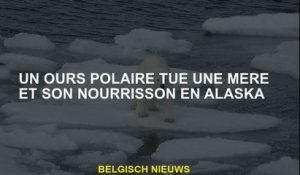 Un ours polaire tue une mère et son bébé en Alaska
