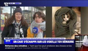 Le chat de Melaïna a été coupé en deux par un TGV, elle demande justice à la SNCF