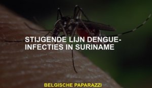 Stijgende lijn knokkelkoortsinfecties in Suriname