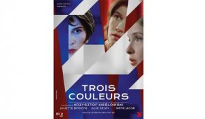 TROIS COULEURS - BLANC (1994) Streaming BluRay-Light (VF)