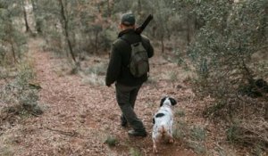 Un chasseur tué accidentellement par un... chien qui a marché sur son arme