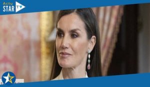 Scandale en Espagne : la reine Letizia snobée par l’ambassadeur d’Iran, elle lui lance un regard noi