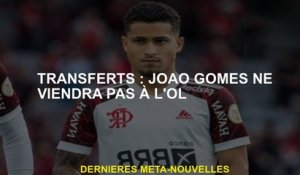 Transferts: Joao Gomes ne viendra pas à OL