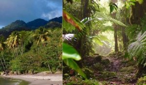 Connaissez-vous La Dominique, cette nation insulaire aux paysages sauvages ?