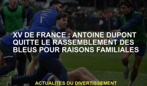 XV de France: Antoine Dupont quitte le rassemblement du blues pour des raisons familiales