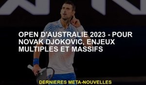 Australie Open 2023 - Pour Novak Djokovic, des problèmes multiples et massifs
