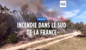 France : un incendie parcourt 110 hectares de végétation dans les Bouches-du-Rhône
