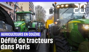 Des agriculteurs manifestent contre les restrictions des pesticides à Paris