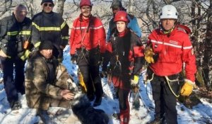 Pendant 6 heures, ces pompiers se sont mobilisés pour sauver un chien de berger prisonnier d'une falaise