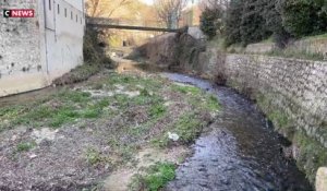 Sécheresse : la situation préoccupante dans les Bouches-du-Rhône pour un mois de février