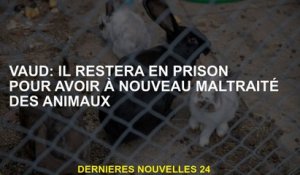 Vaud: Il restera en prison pour avoir à nouveau des animaux maltraités