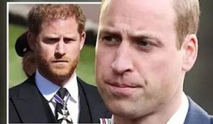 Le prince William "essaye d'accepter qu'il a perdu son frère qu'il a connu" comme l'ont confirmé les