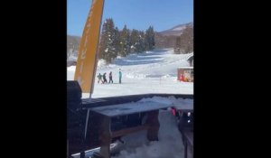 Un sanglier charge un skieur en pleine piste