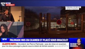 Accident de Pierre Palmade: l'humoriste est placé sous bracelet électronique