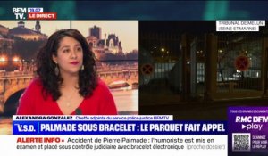 Accident de Pierre Palmade: l'humoriste placé dans un service d'addictologie sous surveillance électronique, le parquet fait appel