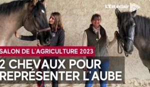 Des Aubois à 4 pattes pour le Salon de l'Agriculture