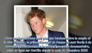 Prince Harry - pourquoi ses mémoires sont interdites en Russie -