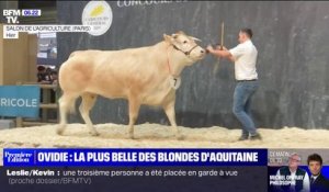 Salon de l'agriculture: Ovidie élue la plus belle des blondes d'Aquitaine