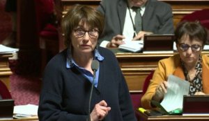 "La question est de savoir si le ministre n'a pas dit la vérité", Marie-Pierre de la Gontrie (PS)