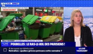 Poubelles non-ramassées à Paris: "C'est le rôle d'Anne Hidalgo de protéger la santé des Parisiens", estime Nelly Garnier (LR)