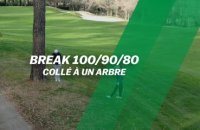 Break 100/90/80 : Collé à un arbre