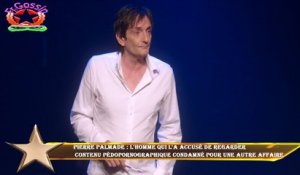 Pierre Palmade : l'homme qui l'a accusé de regarder  contenu pédopornographique condamné pour une au