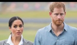 King's Coronation renforcera la hiérarchie royale avec Harry et Meghan prêts à "se démarquer"