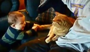 Funny babies annoying cats - Cute cat & baby compilation (2)